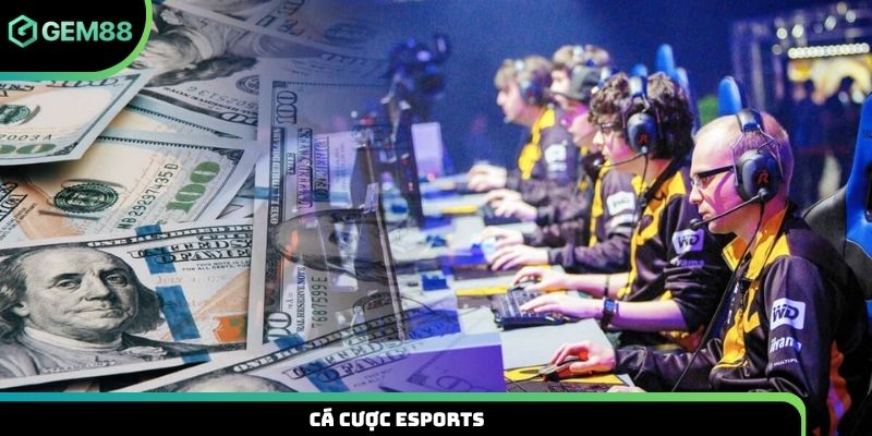 Cá cược Esports
